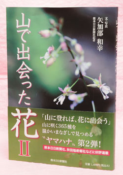 山で出会った花Ⅱ